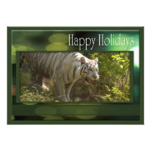 c-2011-white-tiger-026 invitacion personal 