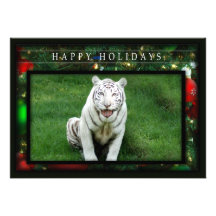 c-2011-white-tiger-028 anuncio