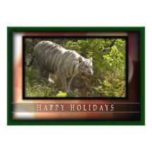 c-2011-white-tiger-039 invitacion personalizada