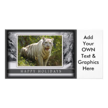 c-2011-white-tiger-043 plantilla para tarjeta de foto