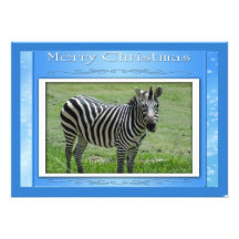 c-2011-zebra-012 invitacion personalizada