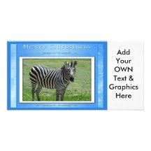 c-2011-zebra-012 tarjeta fotografica personalizada