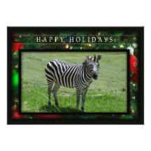 c-2011-zebra-036 anuncio