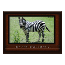 c-2011-zebra-037 comunicado