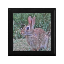 CA caja de regalo linda del conejo de conejito