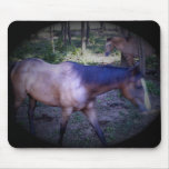 Caballo 2 Mousepad Alfombrillas De Ratones