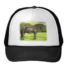 Caballo 9A53D-20 Gorros