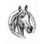 Caballo afortunado tarjeta postal