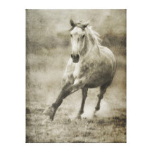 Caballo andaluz galopante rústico lienzo envuelto para galerias