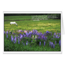Caballo blanco en campo del Lupine Tarjetón