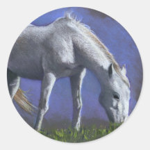 CABALLO BLANCO: LÁPIZ DEL COLOR DEL REALISMO PEGATINAS REDONDAS