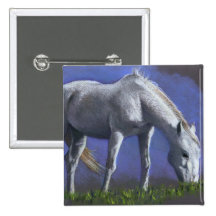 CABALLO BLANCO: LÁPIZ DEL COLOR DEL REALISMO PINS