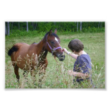 Caballo Cojinete