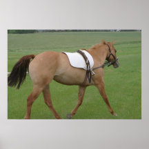 Caballo corriente poster