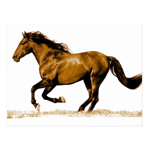 Caballo corriente tarjetas postales