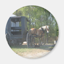 Caballo de Amish Imán Para Frigorífico