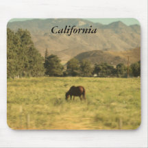Caballo de California Tapetes De Raton
