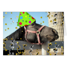 Caballo de la fiesta de cumpleaños tarjeta
