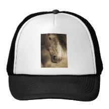 Caballo de la sepia gorro