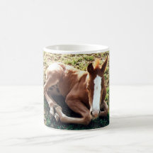 Caballo de la taza del potro del bebé