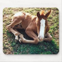 Caballo de Mousepad del potro del bebé Tapetes De Ratón