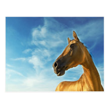 caballo de oro de Turkmenistán Tarjeta Postal