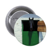 Caballo de Stabled con la puerta francesa Pins