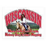 Caballo de Wisconsin Postales
