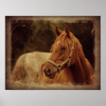 Caballo del alazán impresiones