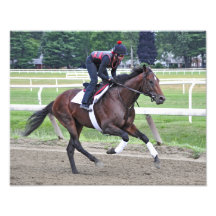 Caballo del césped del campeón del "punto de entra arte fotográfico
