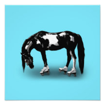 Caballo del patinador arte con fotos