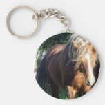 Caballo del semental áspero llavero