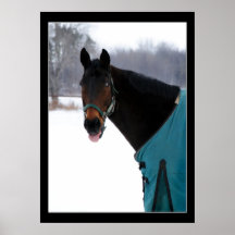 Caballo divertido en invierno impresiones