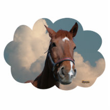 Caballo en la nube 01 esculturas fotograficas