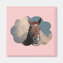 Caballo en la nube 01 imanes  