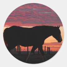 Caballo en la puesta del sol etiquetas  