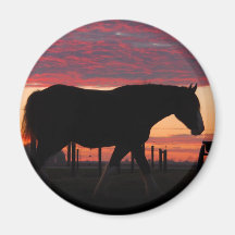 Caballo en la puesta del sol imán de nevera