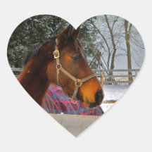 Caballo en la serie de la nieve pegatina de corazon personalizadas