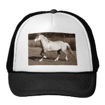 caballo en sepia gorra