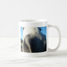 Caballo encima de su nariz tazas