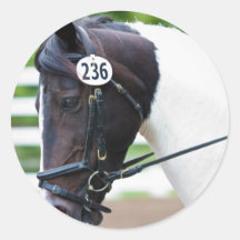 Caballo Etiqueta