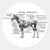 Caballo Etiquetas