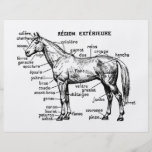 Caballo Flyer Personalizado