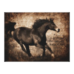Caballo galopante de la sepia rústica lienzo envuelto para galerías