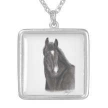 Caballo Grimpola