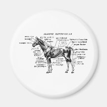 Caballo Imanes Para Frigoríficos
