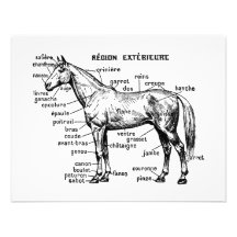 Caballo Invitacion Personalizada