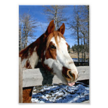 caballo Lengua-atado de la pintura Arte Con Fotos