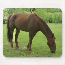 Caballo masculino grande que come la hierba Mousep Alfombrillas De Raton