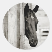 Caballo negro curioso etiquetas redondas